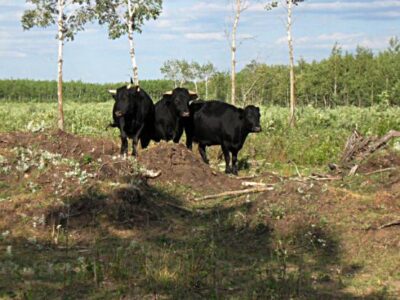 From Point A to Point B Image